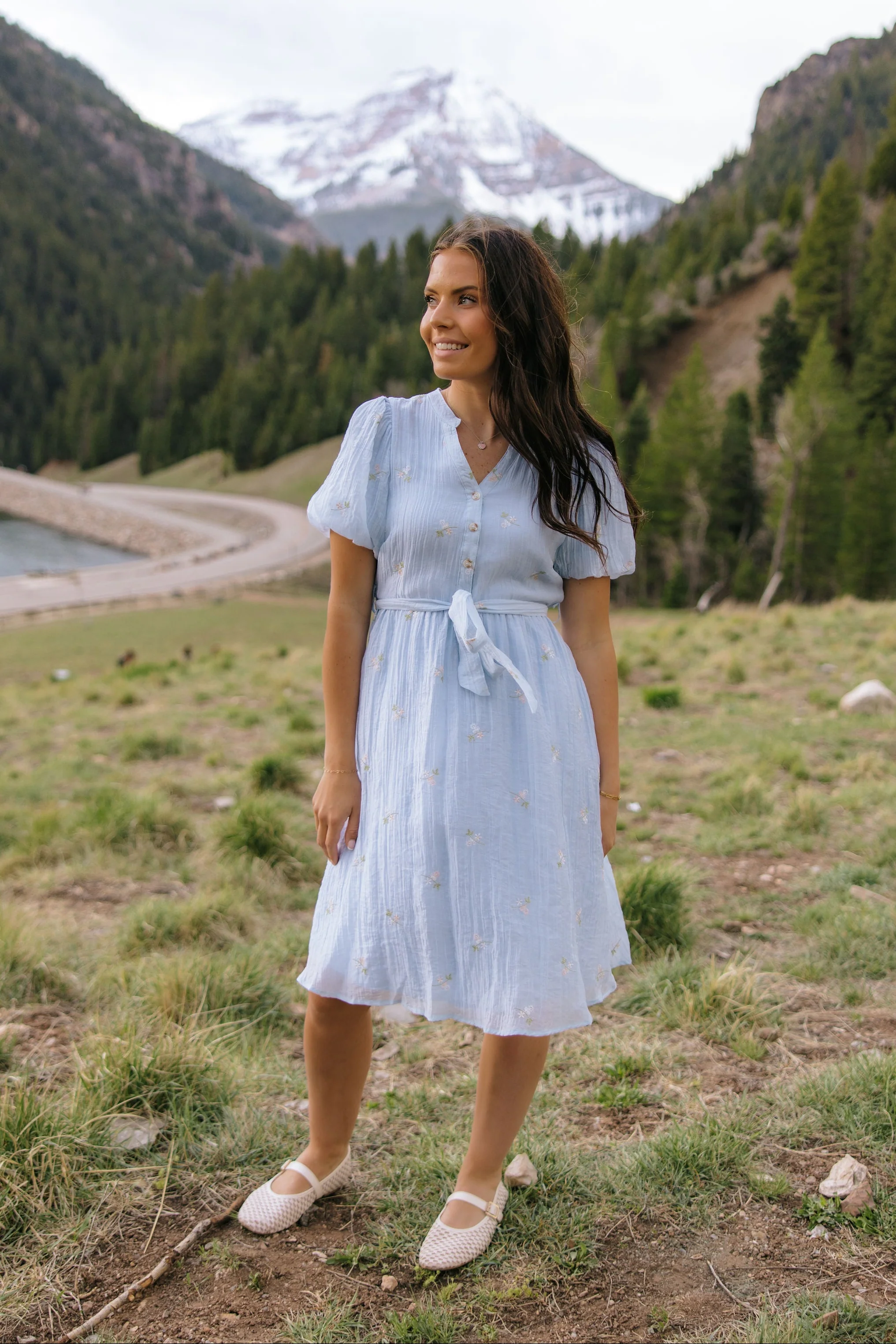 THE AVA FLOWER EMBROIDERED DRESS