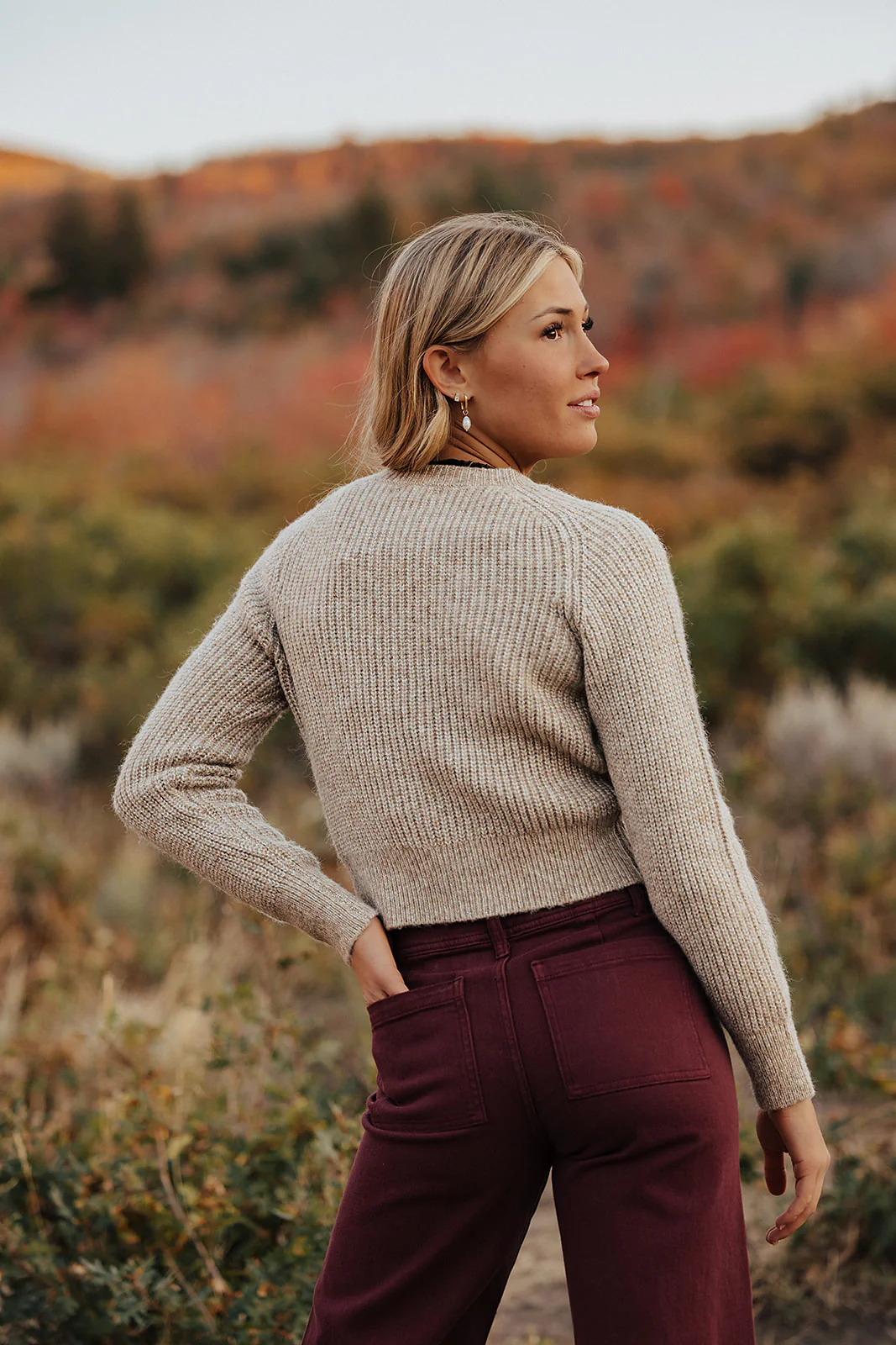 THE CREW PEARL BUTTON DOWN KNIT CARDIGAN IN TAUPE - Image 3