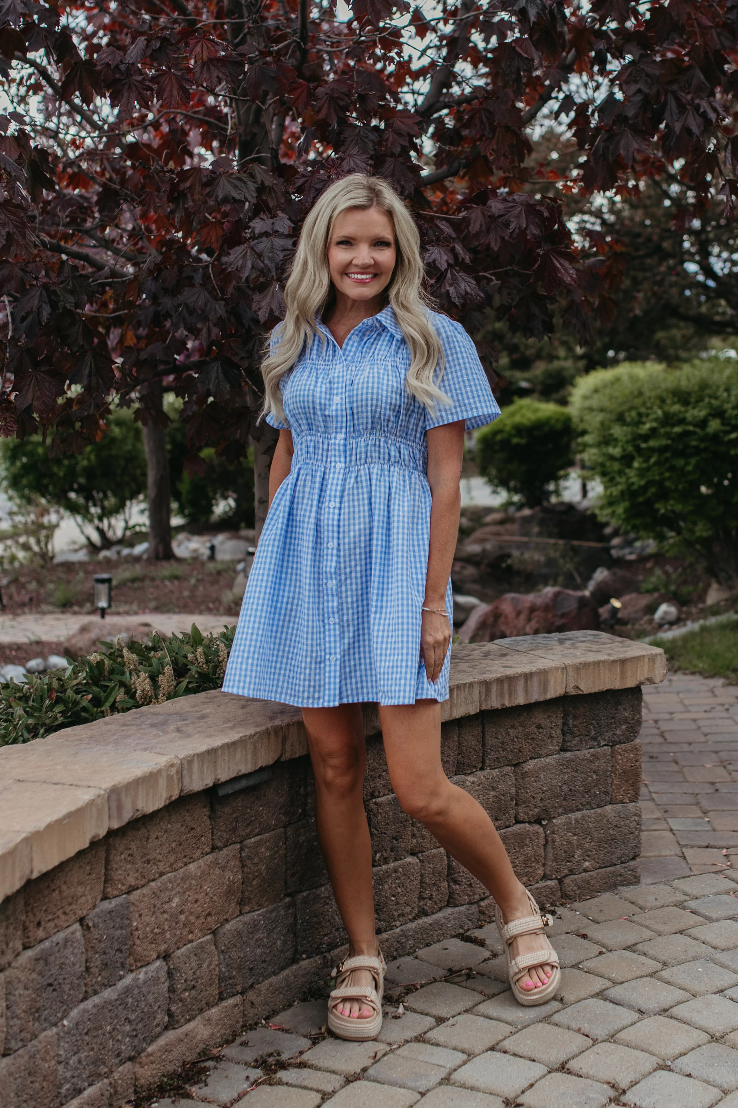 THE NOVIE GINGHAM BUTTON DOWN DRESS - Image 2