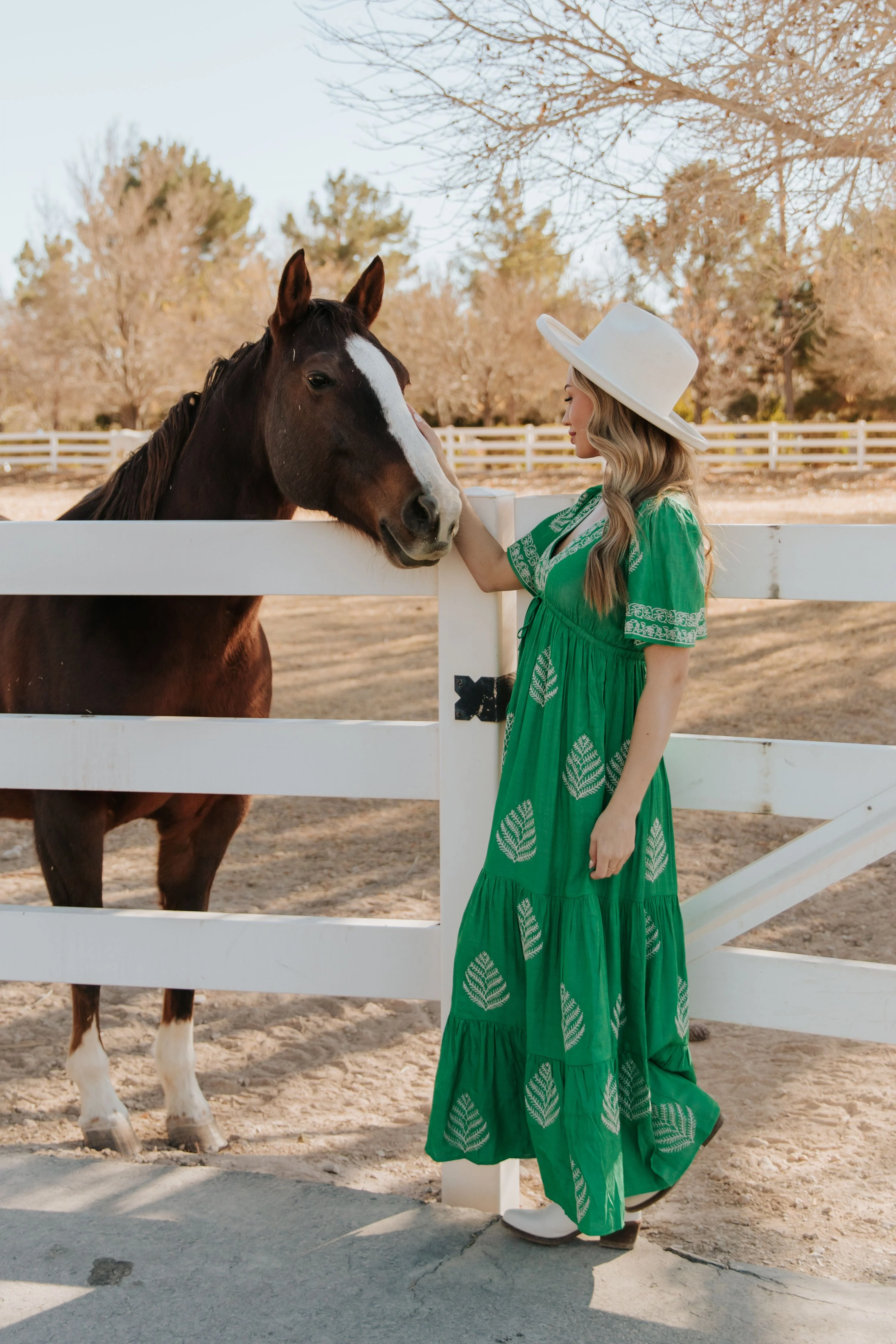THE RAYLEIGH EMBROIDERED MAXI DRESS IN SPRING GREEN - Image 2