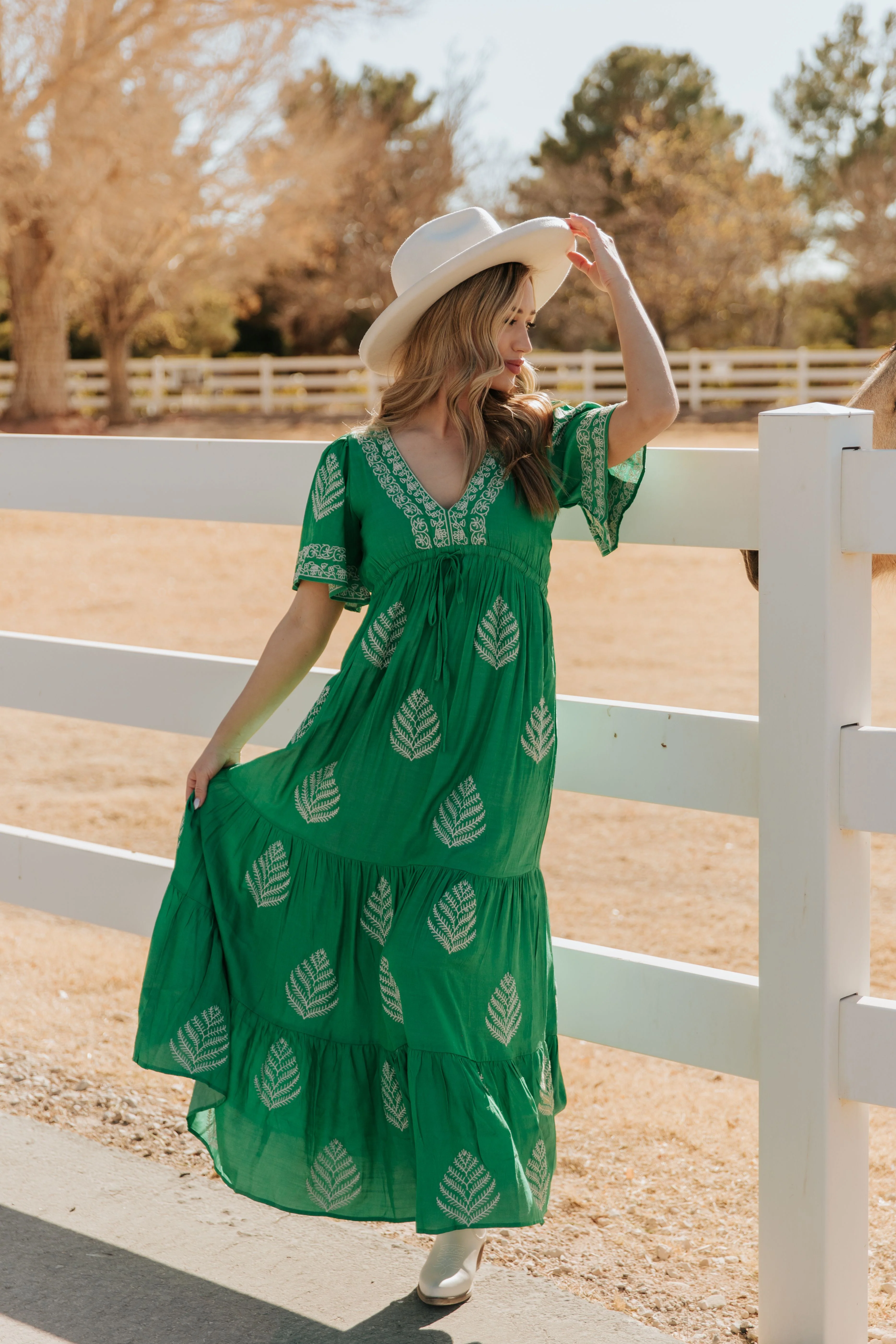 THE RAYLEIGH EMBROIDERED MAXI DRESS IN SPRING GREEN - Image 3